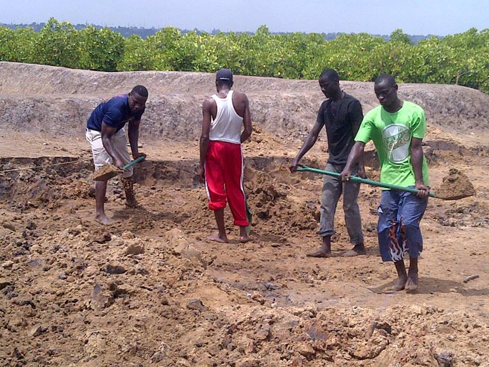 Brain Youth Group Spurs Mangrove rehabilitation: Mombasa County, Kenya
