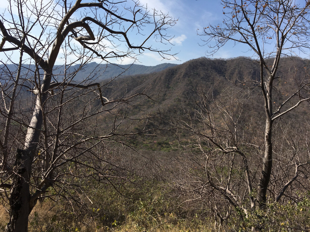IMG_1669.jpeg