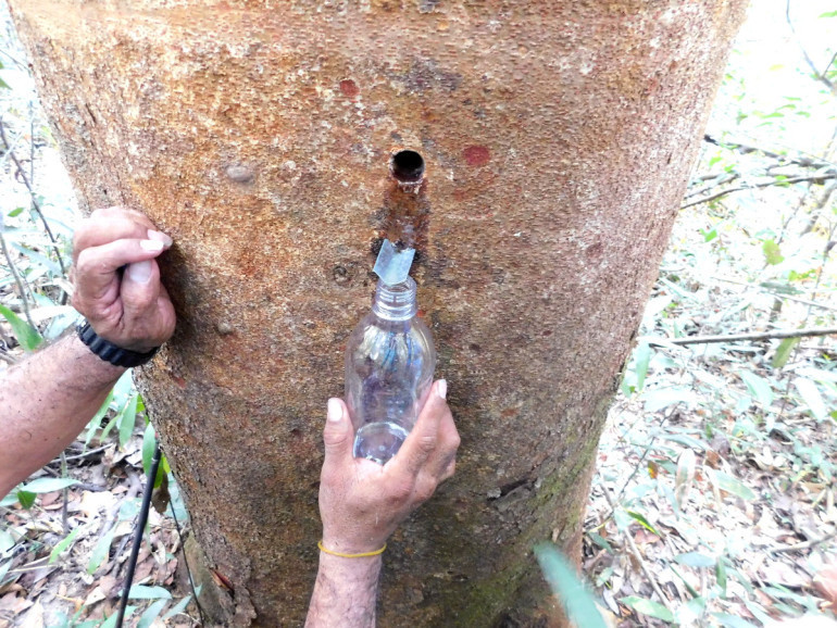The tapping hole is ready once oil starts to appear