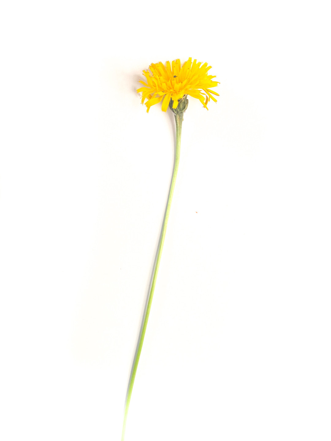 temp-upload-ea3e887b6cf70f82.jpg