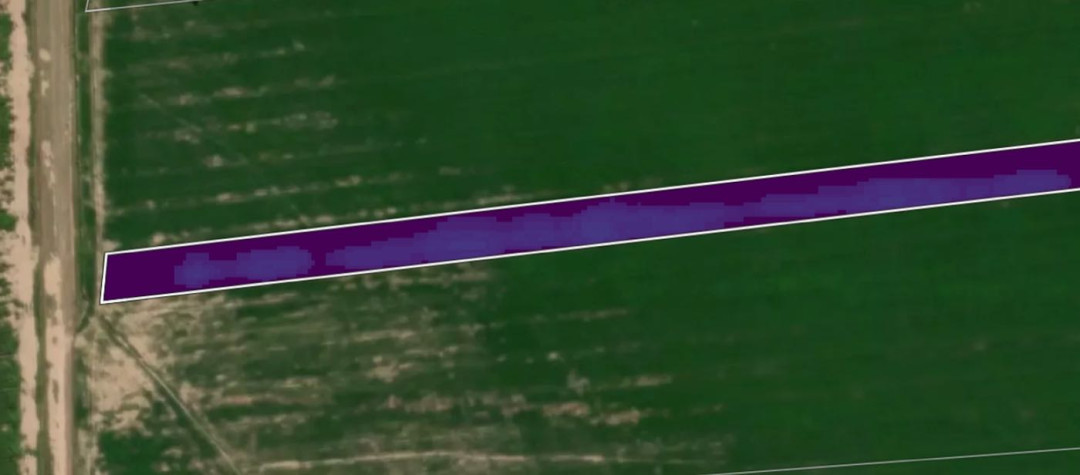Amazon Windshield, 2021