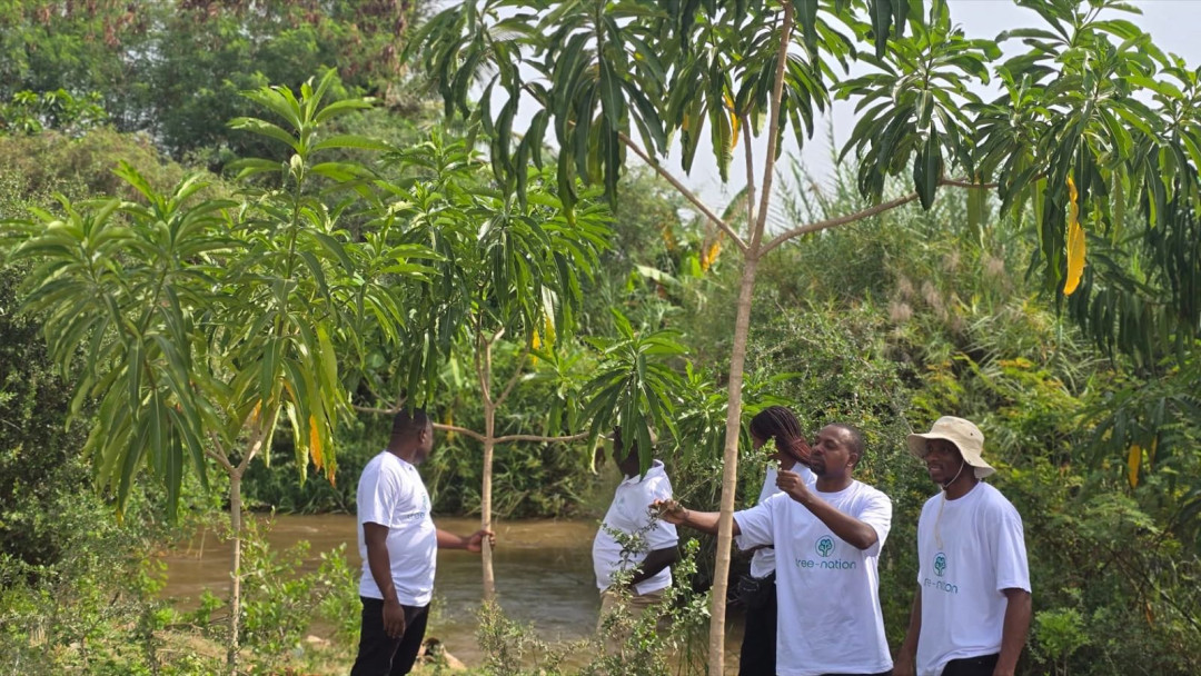 Planters checking young trees beside a river