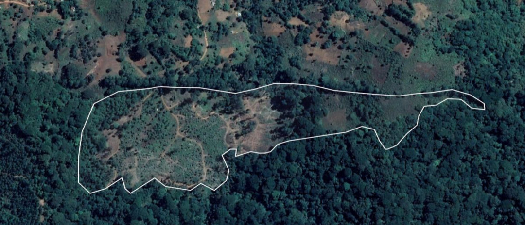 Kwashemshi site, 2020