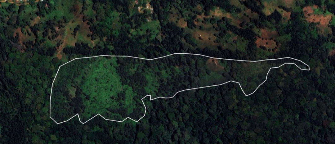 Kwashemshi site, 2026