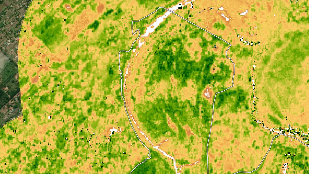 Ivaguelani site, 2021