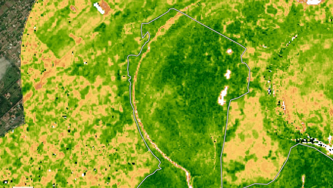 Ivaguelani site, 2025