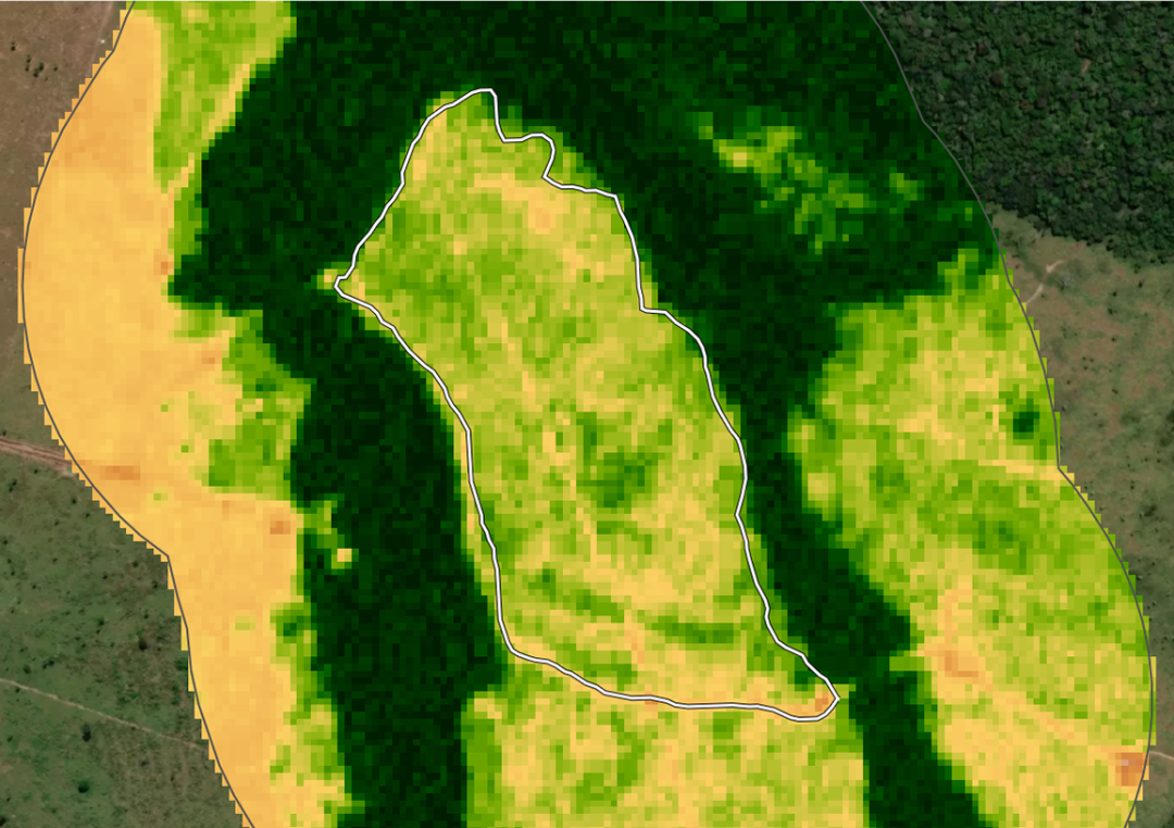 RESEX site, 2026