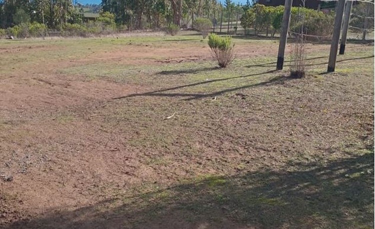 Alto Mirador Polygon 7 (2026)
