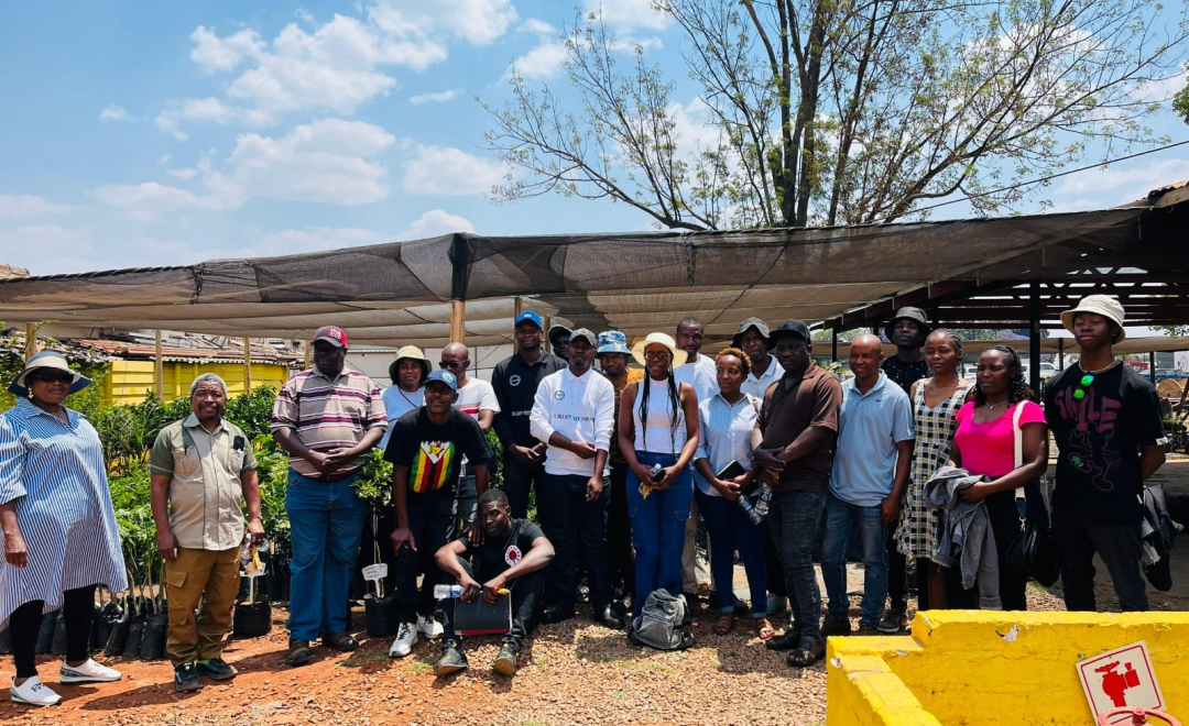 Zimbabwe Reforestation Initiative