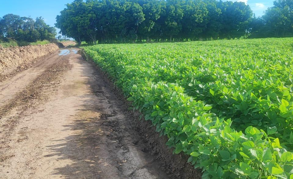 Santa Maria Path 7 (2021-2024)