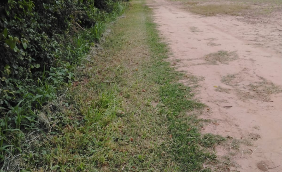 Retiro, Path 6 (2026)