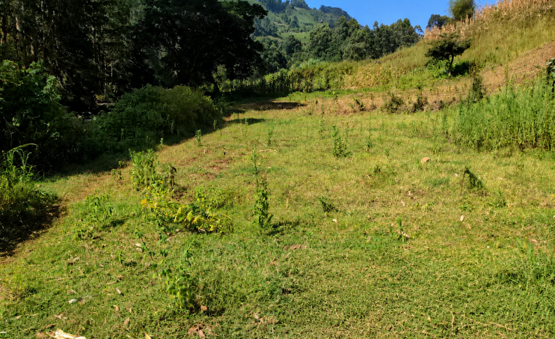 Upper Tana Catchment Site