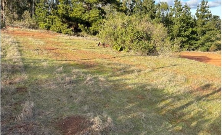 Alto Mirador Polygon 2 (2026)