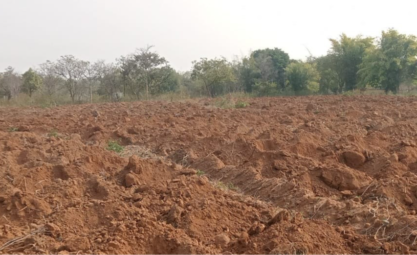 Rahanda site 1 (2024)