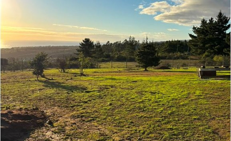 Alto Mirador Polygon 5 (2026)