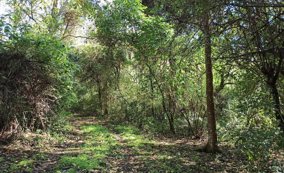 Enrichment Area L4 (2026)