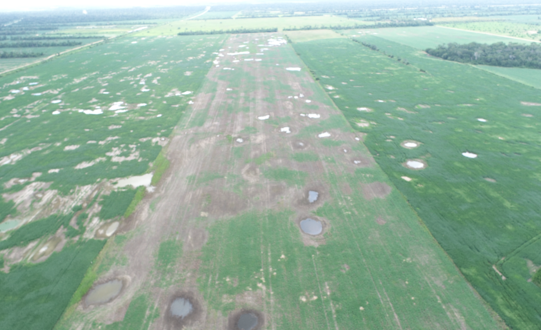 Agro oriente, Path 3 (2024)