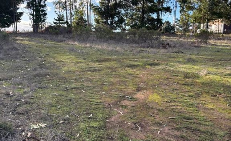 Alto Mirador Polygon 9 (2026)