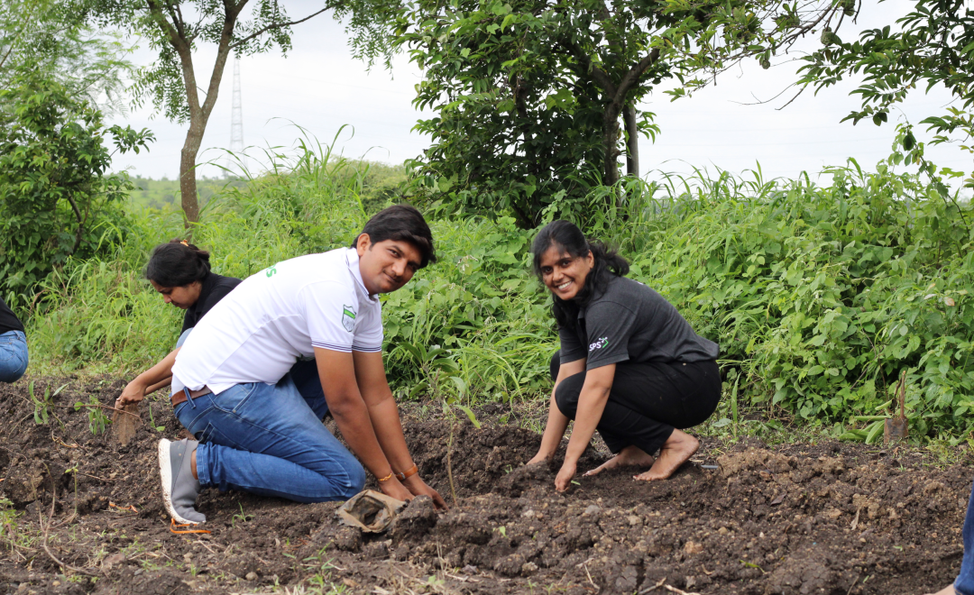 Agroforestry Tree Plantation