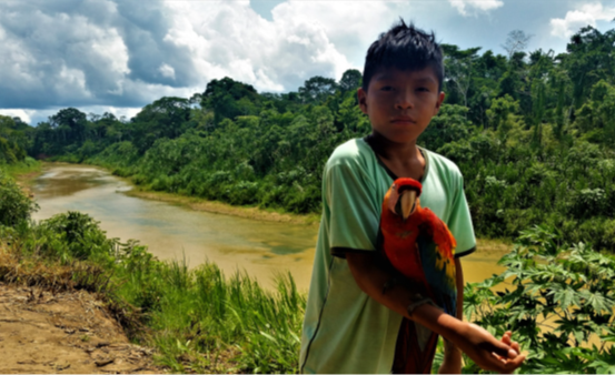 Madre de Dios Amazon REDD+ Project