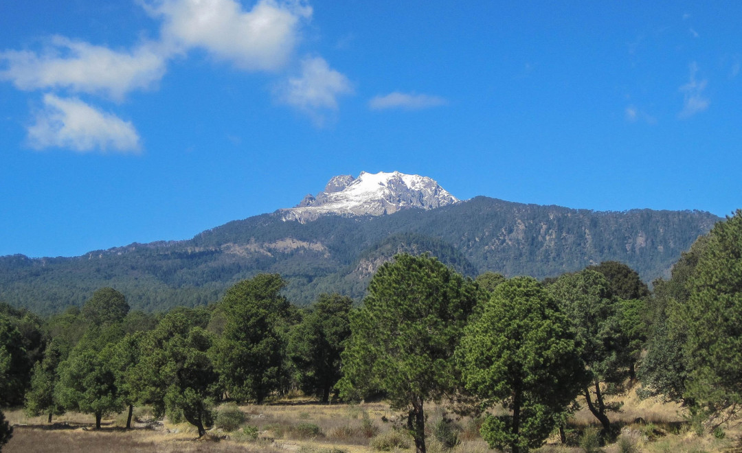 Heroes of "La Malinche"