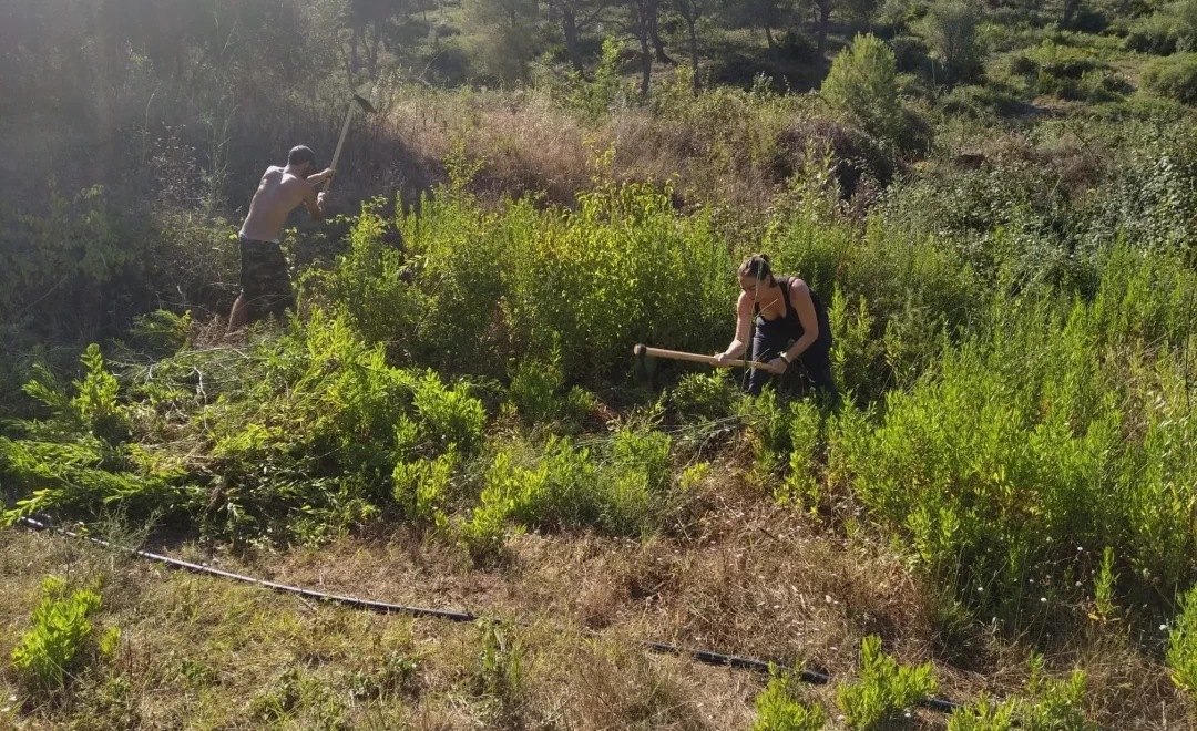 ARBA Sistema Litoral