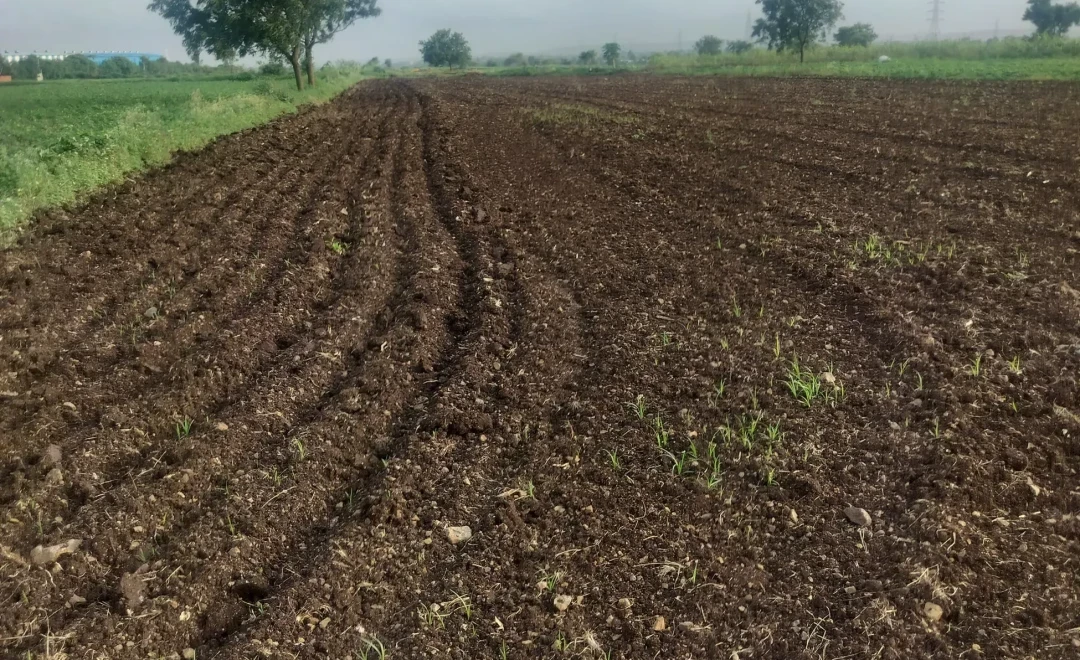 Village Pabal