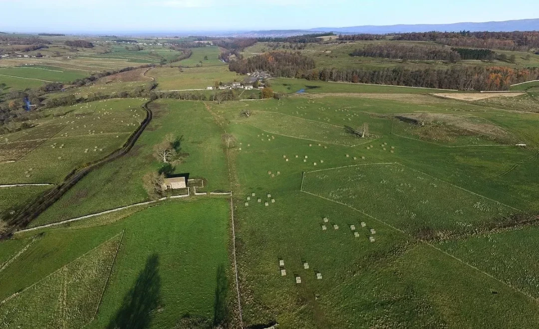 Lowther (Cumbria)