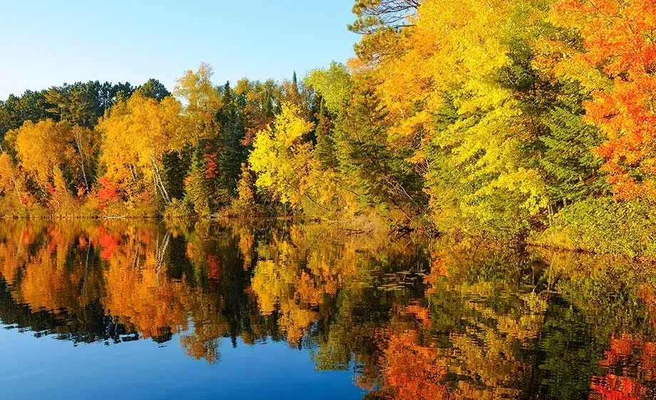 Chippewa National Forest