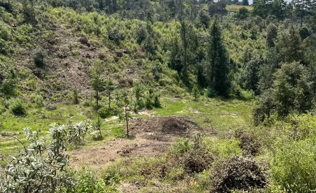 San Bartolomé Cuahuixmatlac  Site 1