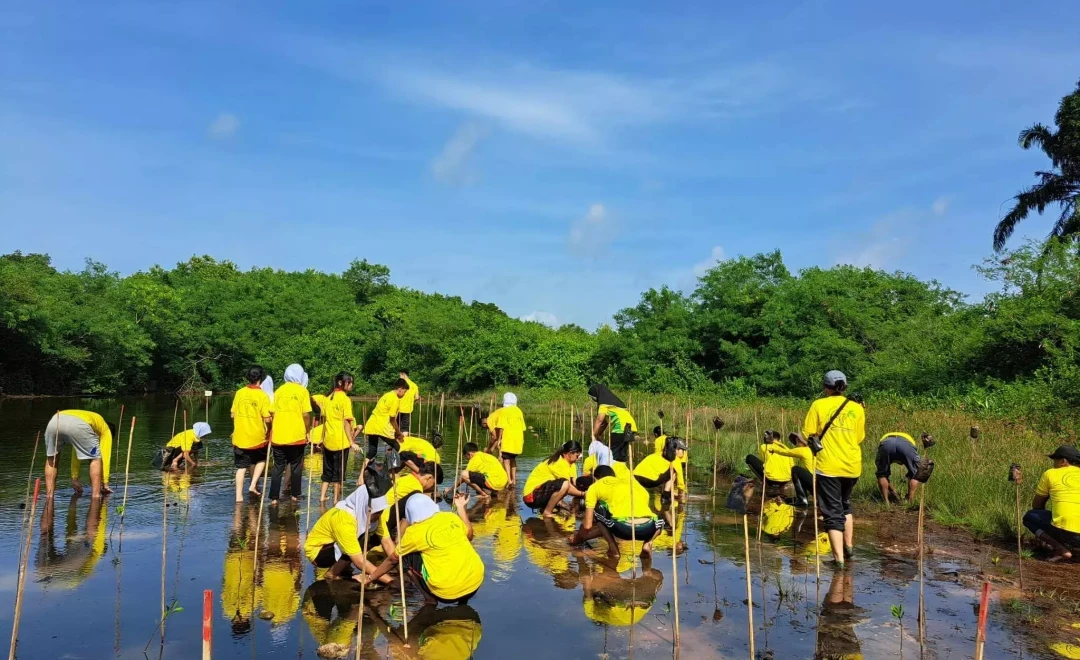 Marui, Thap Put District, Phang Nga