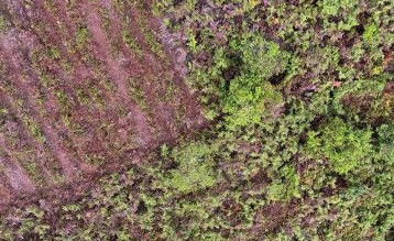 Mkussu Forest Reserve 2 (2023)