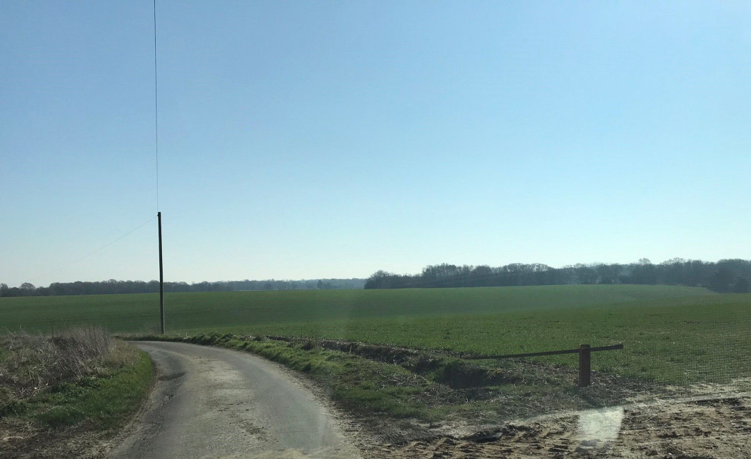 Swale (Kent)