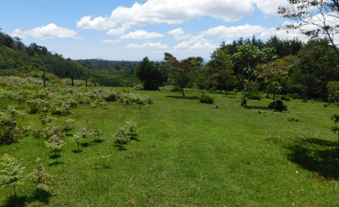 Kabage Forest Block 2023-2027