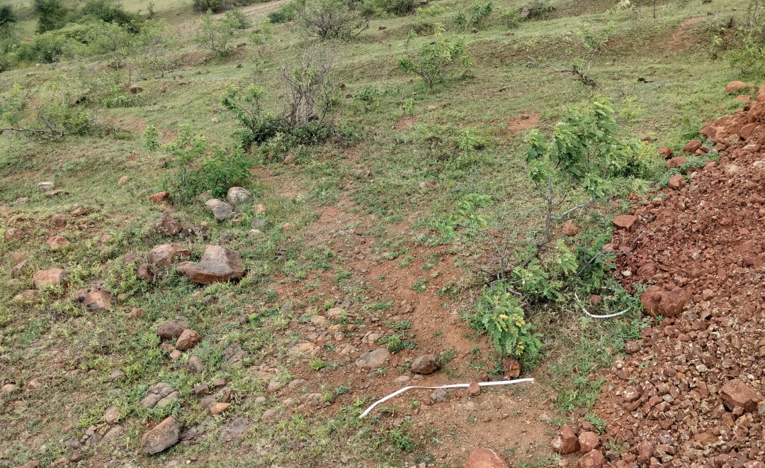 Village Kanhur