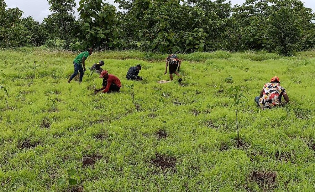 Bhatsai (Vasind) village (2022)
