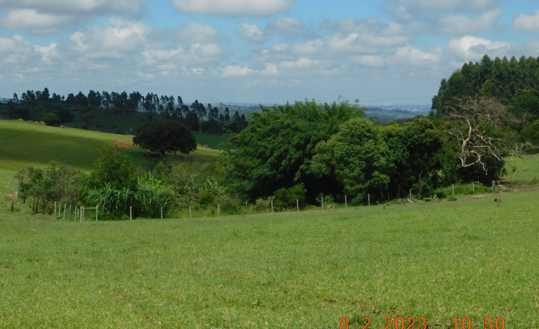 Fazenda Santa Carolina - Área 03
