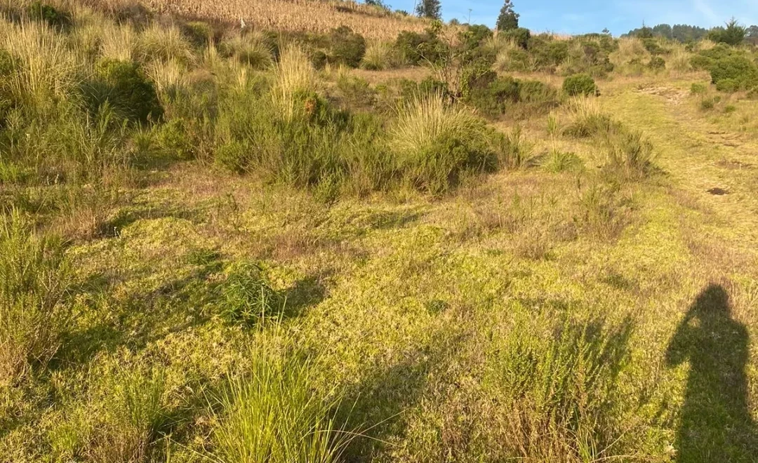 Eloy, Crescencio Morales, Zitácuaro