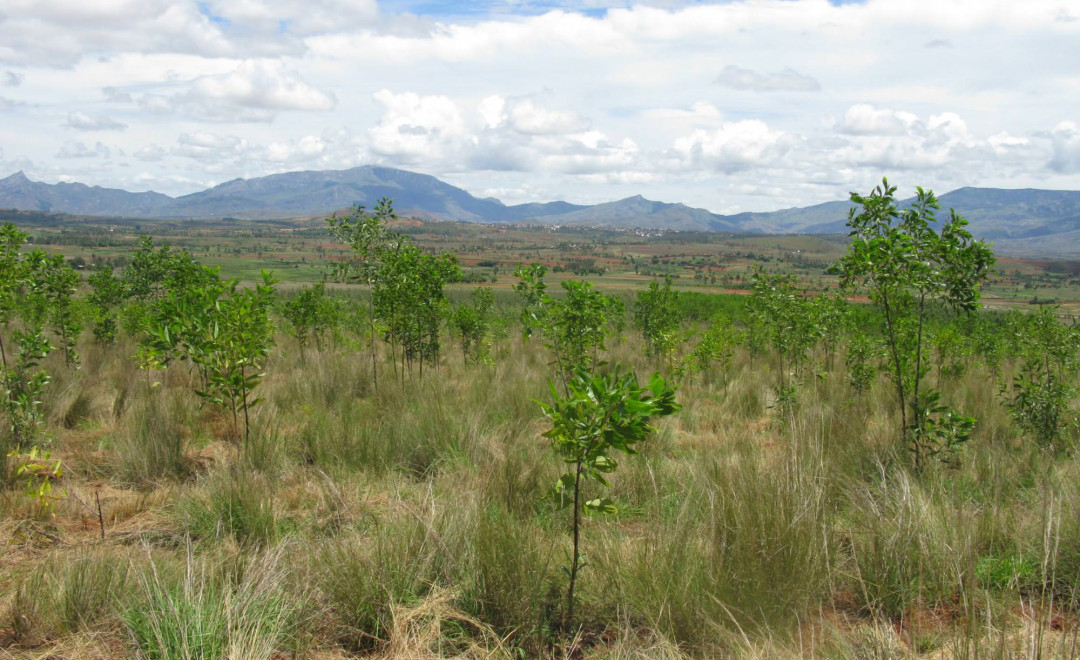Ambalavao