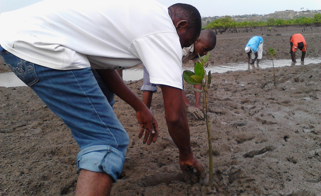 Tudor Creek in Mombasa, Kenya