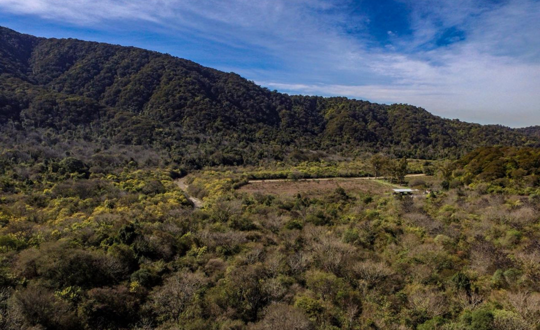 Enrichment Area Yungas Lote 05