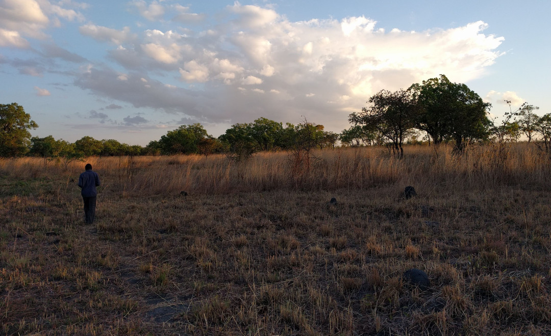 Dzalanyama Forest: Water-shed area