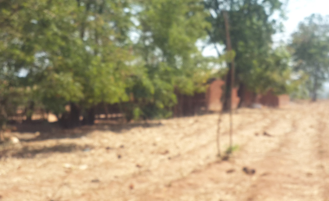 Villages in Dzalanyama forest