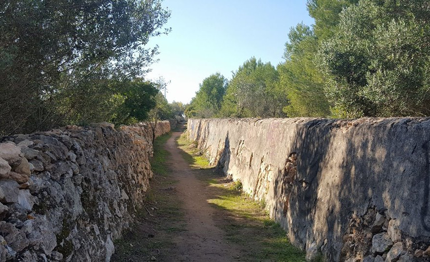 Camí Vell (2013/2020)