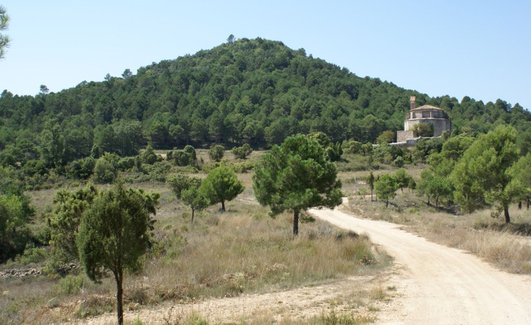 Montagut (2015)