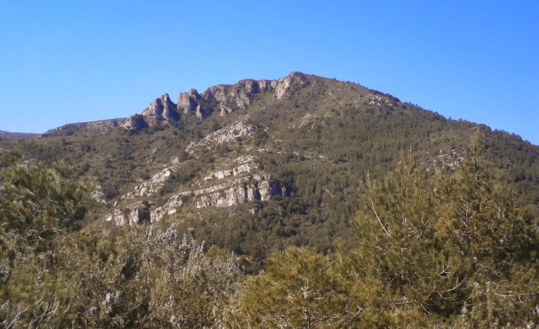 Puig d'Agulles (2006/2019)