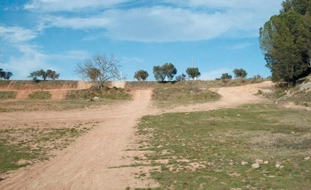 La Muntanyeta (2018/2020)