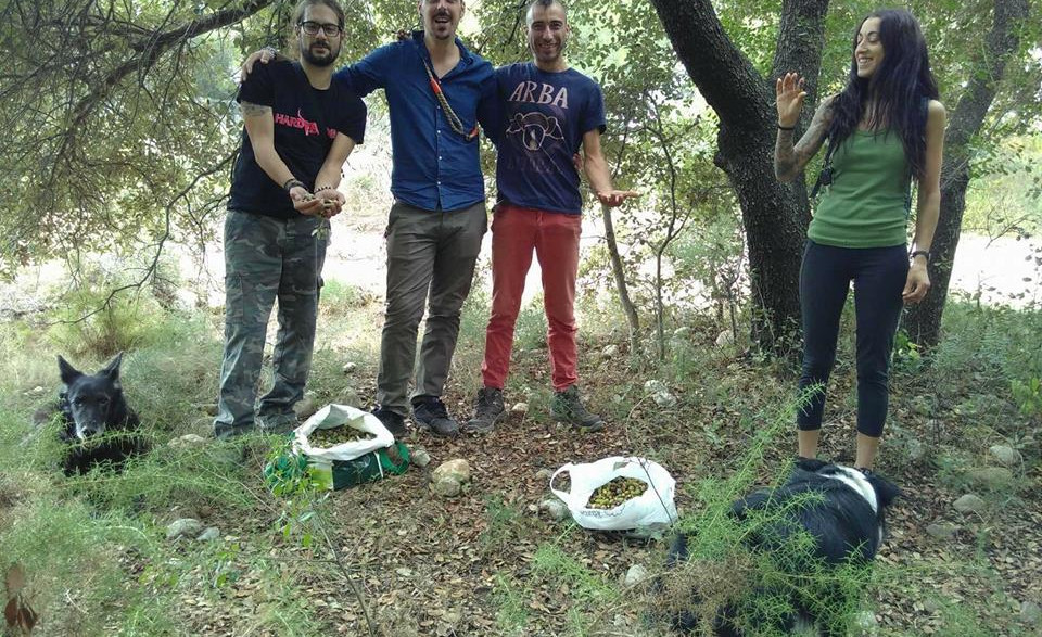 Camí del Molí /riera Marmellar