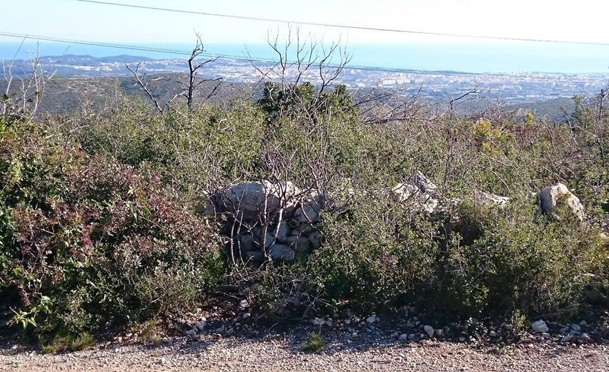 Obaga de la Serra del Gat (2014)
