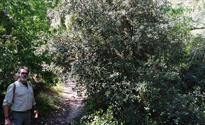 Embalse del Foix (2005/2019)